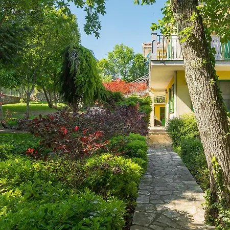 Amazing In With Kitchen Apartament *